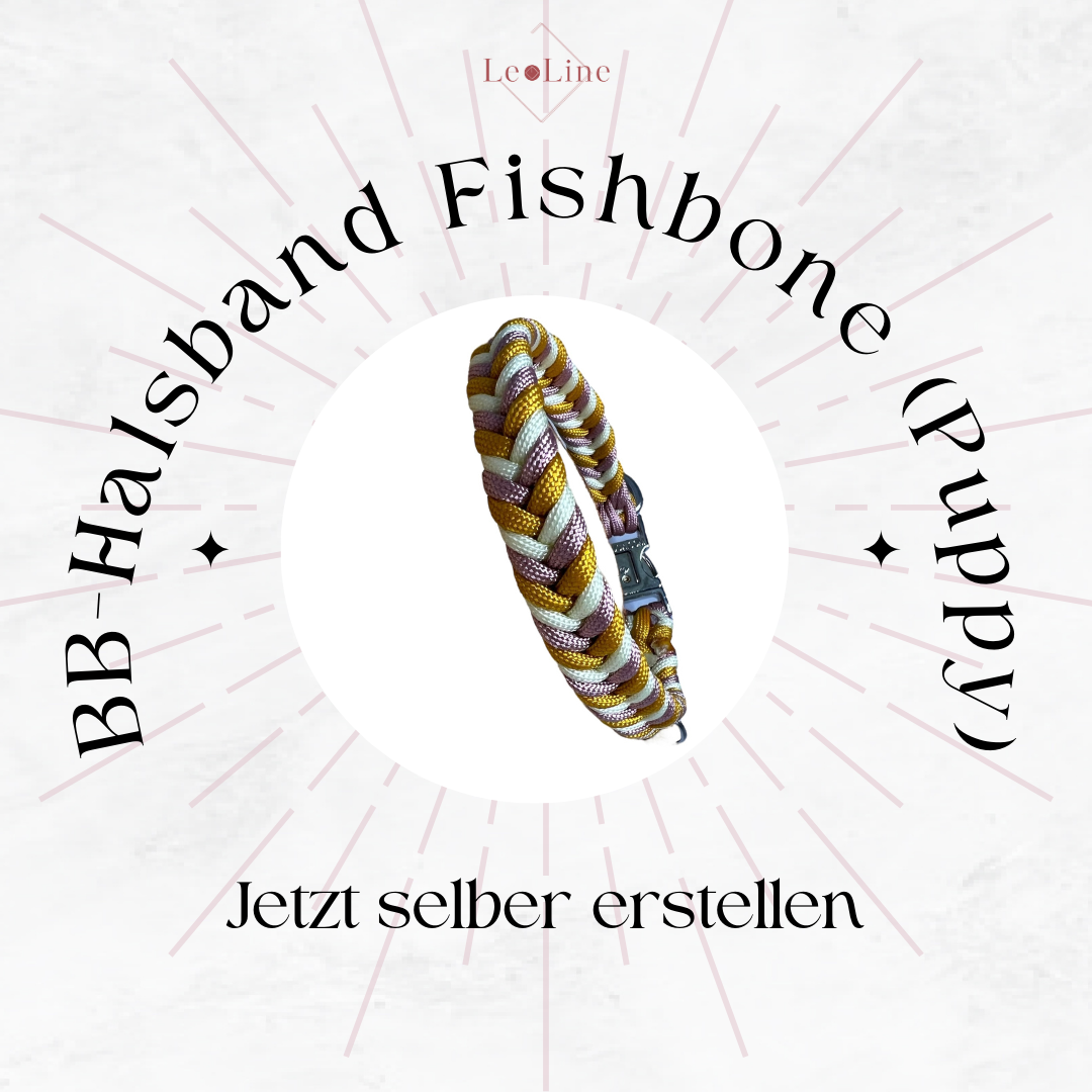 BB-Halsband Fishbone Puppy erstellen
