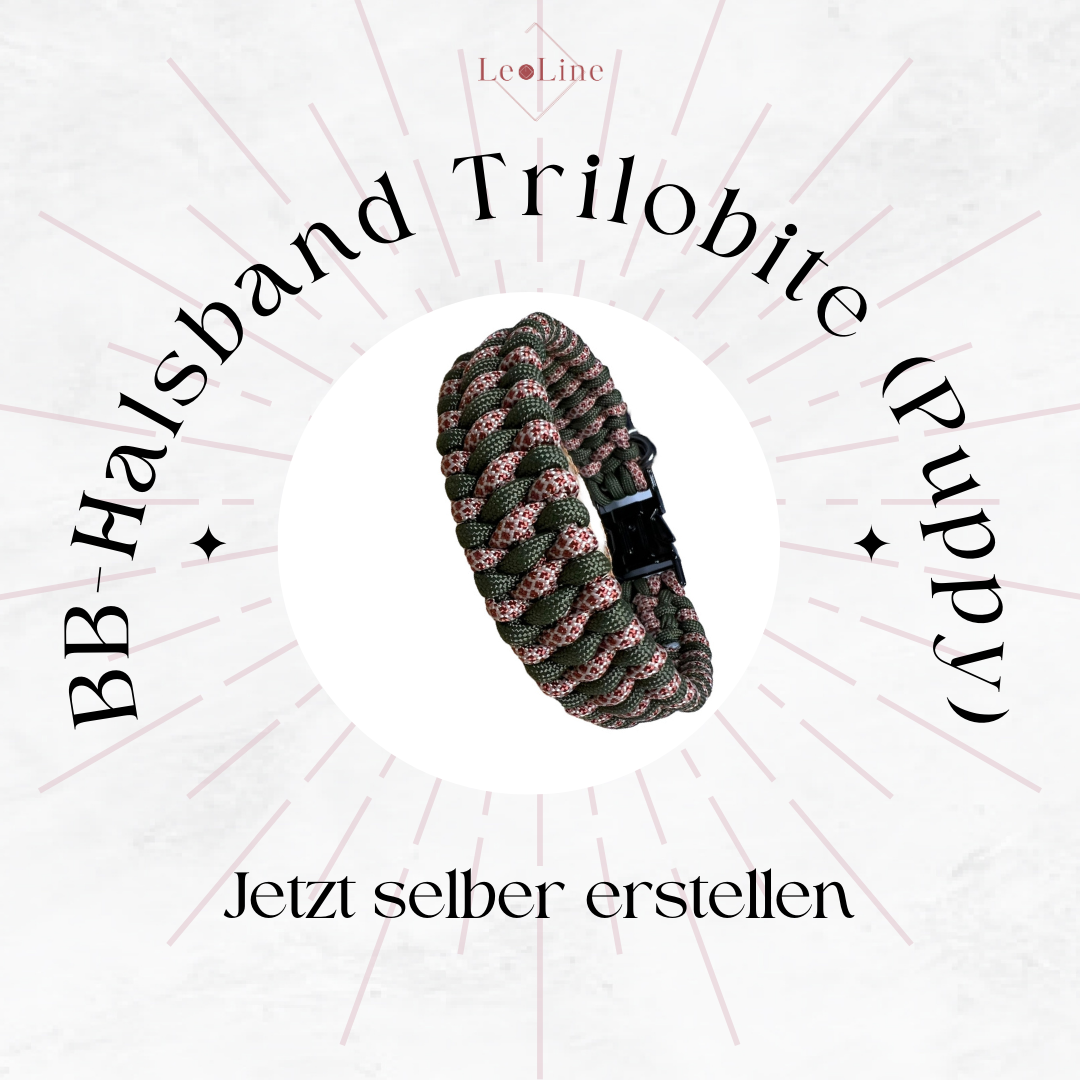 BB-Halsband Trilobite Puppy erstellen