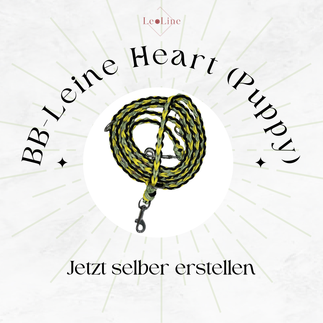 BB-Leine "Heart for Puppy" (kleine Hunde) erstellen