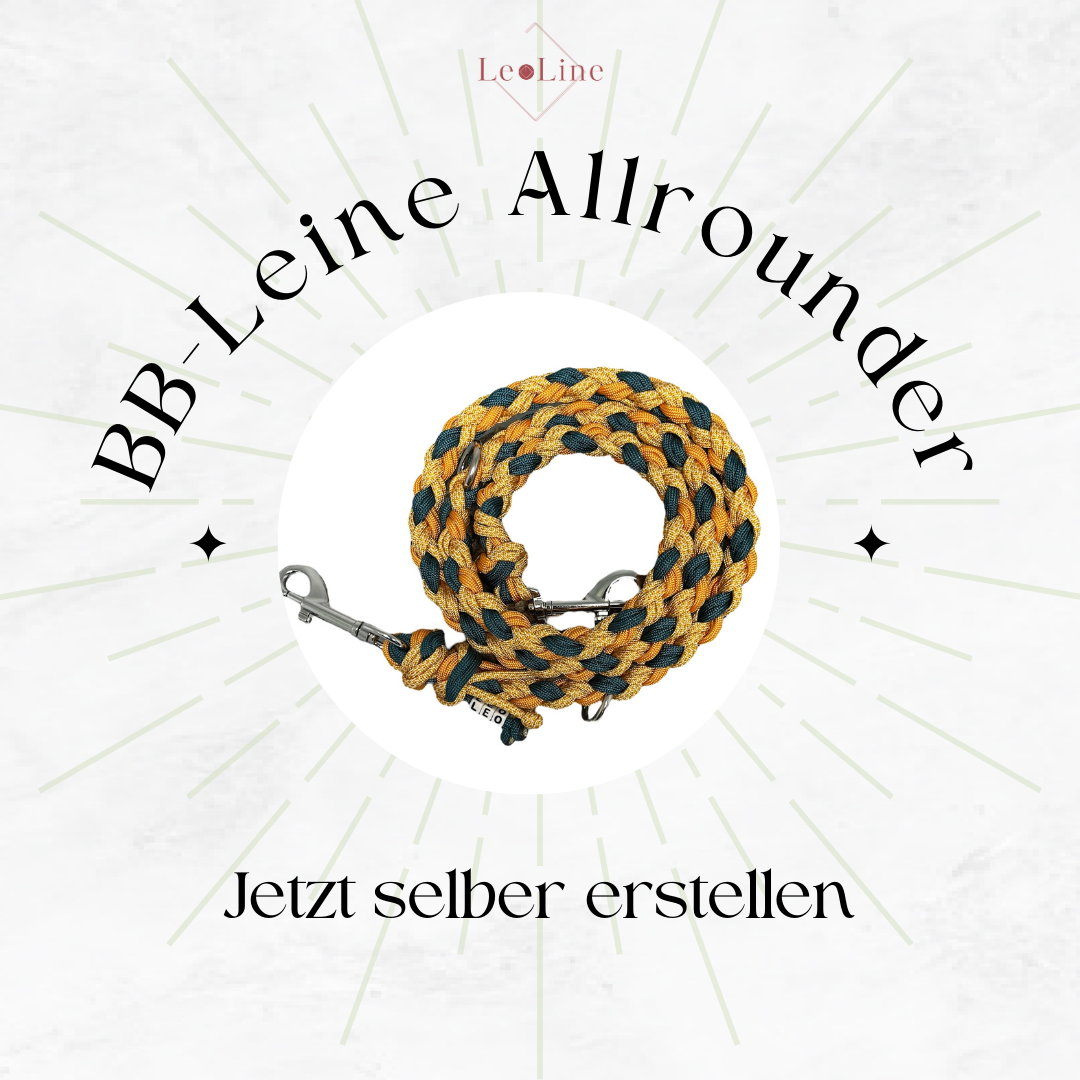 BB-Leine "Allrounder" erstellen