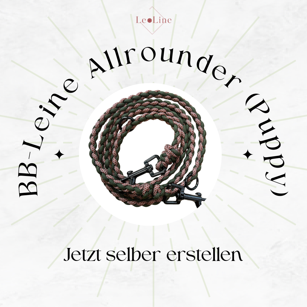 BB-Leine "Allrounder for Puppy" (kleine Hunde) erstellen