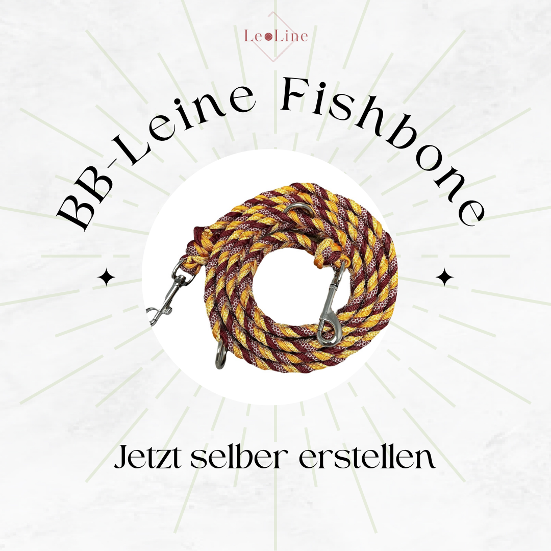 BB-Leine "Fishbone" erstellen