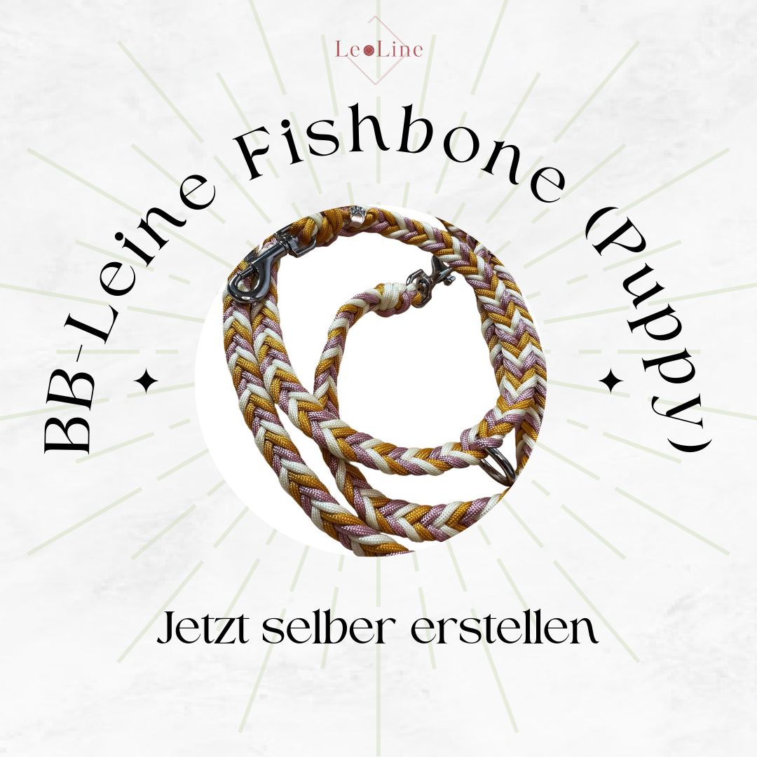 BB-Leine "Fishbone for Puppy" (kleine Hunde) erstellen