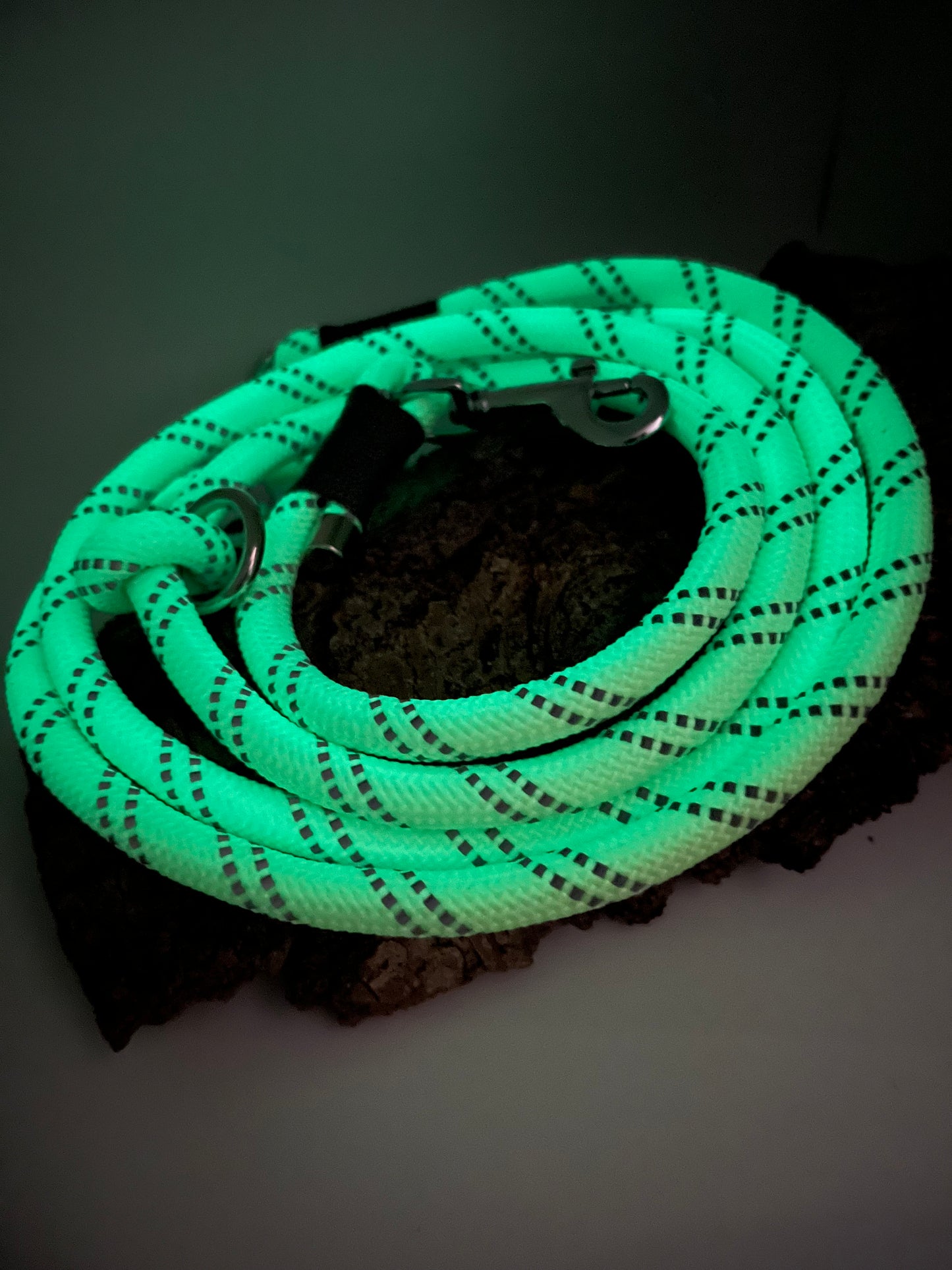 Hundeleine Glow